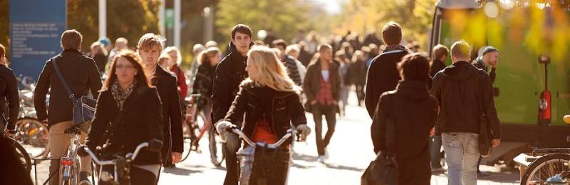 Linköping University