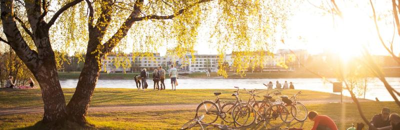 University of Lapland