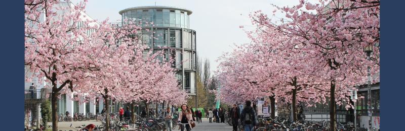 University of Göttingen