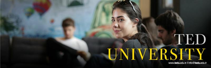 TED University