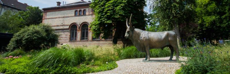 University of Veterinary Medicine Budapest