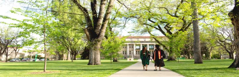 Colorado State University