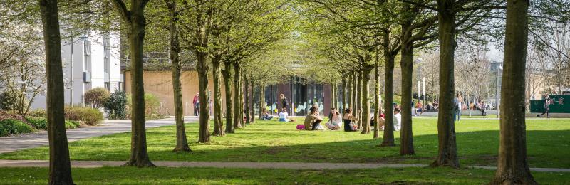 University of Bath