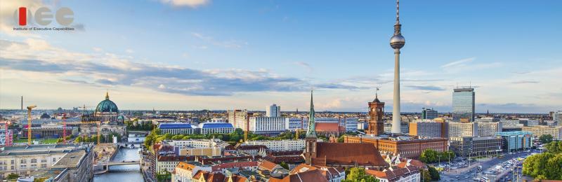 Institute of Executive Capabilities, Steinbeis University Berlin