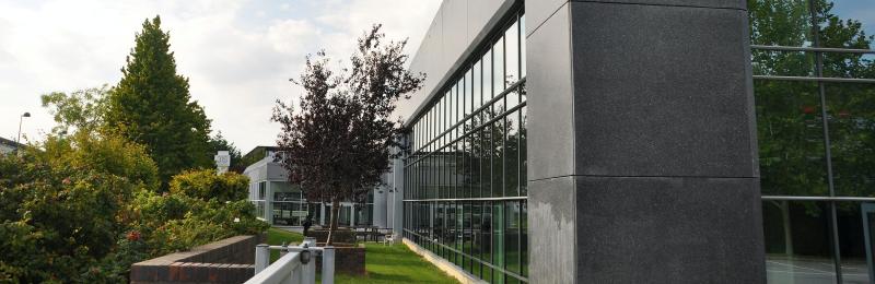 3is-International Institute for Image and Sound