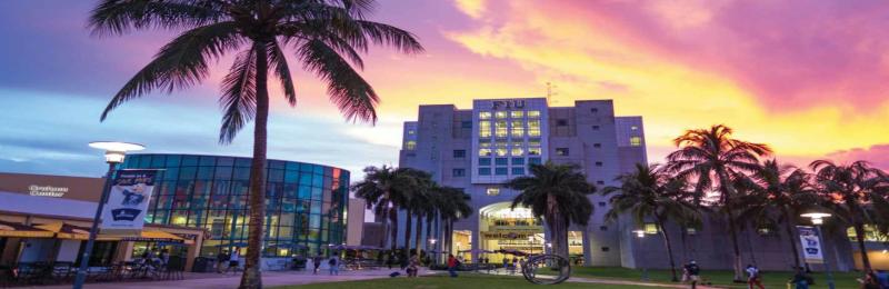 Florida International University