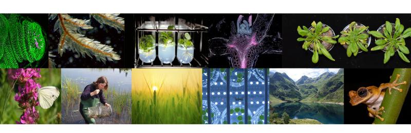 TULIP Graduate School at University Toulouse III - Paul Sabatier