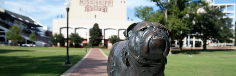 Mississippi State University