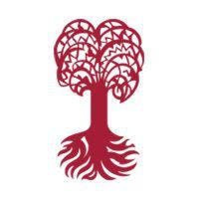 Study at origin.title.value insurance