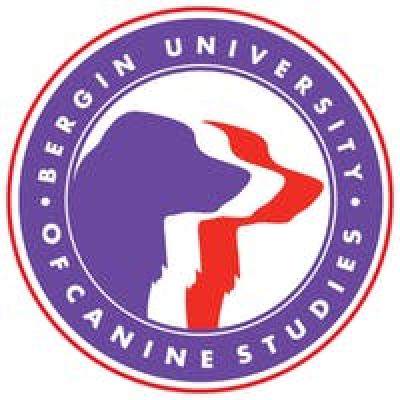 Study at origin.title.value insurance
